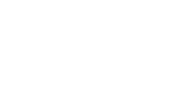 Hala Slaný